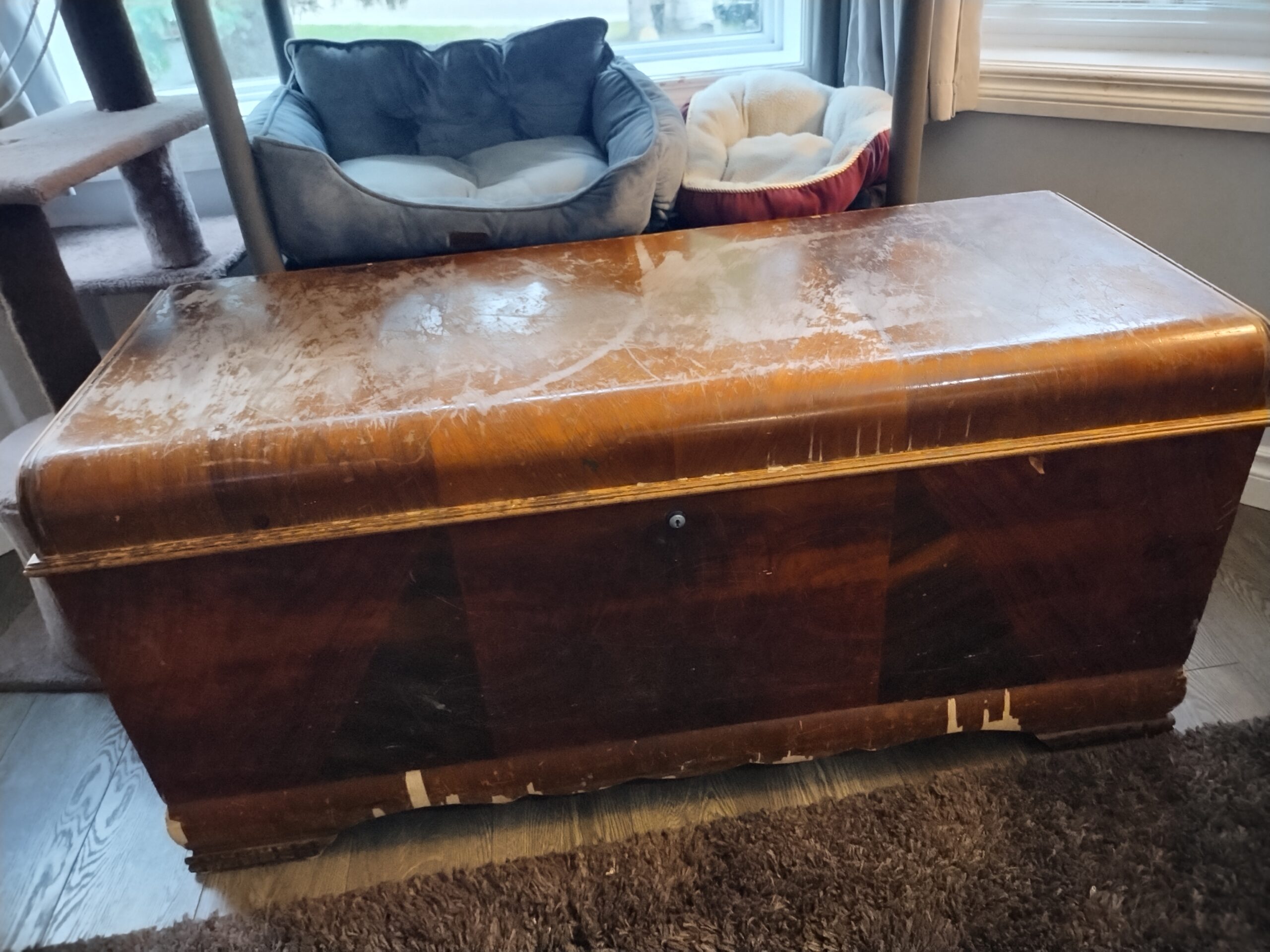 Taking Back My Cedar Chest